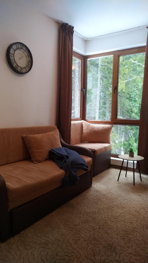 Elitsa Apartment Παμπόροβο Εξωτερικό φωτογραφία