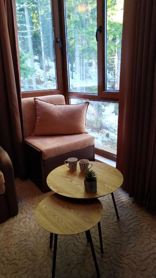 Elitsa Apartment Παμπόροβο Εξωτερικό φωτογραφία